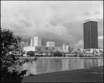 Downtown Skyline from Waterfront, Tampa, Florida, B by George Skip Gandy IV