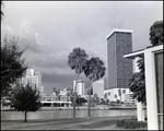 Downtown Skyline from Waterfront, Tampa, Florida, G by George Skip Gandy IV