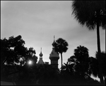 Henry B. Plant Museum Silhouette, Tampa, Florida by George Skip Gandy IV