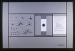 Proposed Terminal Design Concept, Jacksonville Airport, Jacksonville, Florida, A by George Skip Gandy IV