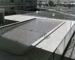 Coral Crest Apartment Pool by George Skip Gandy IV