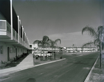 Road Beside Coral Crest Apartments, C by George Skip Gandy IV