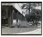 Landscaping in Corporate Square Complex, Tampa, Florida, A by George Skip Gandy IV