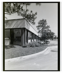 Landscaping in Corporate Square Complex, Tampa, Florida, B by George Skip Gandy IV