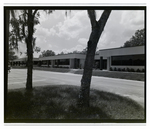 Parking Lot in Corporate Square Complex, Tampa, Florida, D by George Skip Gandy IV