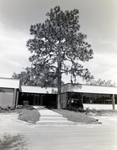 Business in Corporate Square Complex, Tampa, Florida by George Skip Gandy IV