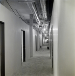 Air Ducts in the ceiling of a Hallway in the Hillsborough County Courthouse, Tampa, Florida, B by George Skip Gandy IV