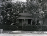 House Partially Obscured by Trees, Tampa, Florida by George Skip Gandy IV