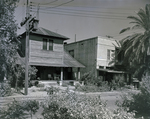 Residential and Commercial Structures with Front Gardens, Tampa, Florida by George Skip Gandy IV