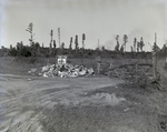 Dumping Site with Bulldozing Advertisement, Tampa, Florida by George Skip Gandy IV