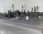 Roadside Dump with Fine Warning Sign, Tampa, Florida by George Skip Gandy IV