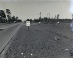 Litter Warning Sign and Roadside Dump, Tampa, Florida by George Skip Gandy IV