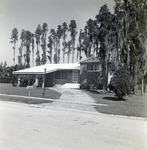 Sunlake Park, Alice Circle, Lutz, Florida, A by George Skip Gandy IV