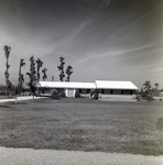 Lake Padgett Estates, Home 209, Land O' Lakes, Florida by George Skip Gandy IV