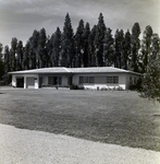 Vinson Home on Conners Drive, Dupree Gardens, Land O' Lakes, Florida, A by George Skip Gandy IV