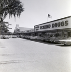 Clayton Plaza Shopping Mall, Brandon, Florida, A by George Skip Gandy IV