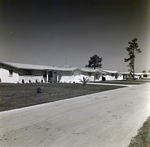 Houses in Coventry, Bayonet Point, Florida, A by George Skip Gandy IV