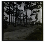 Two-Story House with Pines, A by George Skip Gandy IV