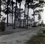 Two-Story House with Pines, B by George Skip Gandy IV