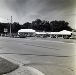 Bushnell Shopping Center, Bushnell, Florida, A by George Skip Gandy IV