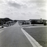 Houses on Lady Guinevere Drive, Brandon, Florida, A by George Skip Gandy IV