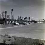 Seven Springs Condos, New Port Richey, Florida, B by George Skip Gandy IV