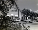 Eller & Company Building, Tampa, Florida, A by George Skip Gandy IV