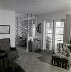 Back of a Elsner-Lane, Inc., Model Home in Brandon, Florida, A by George Skip Gandy IV