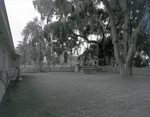 Backyard at Elsner-Lane, Inc., Model Home in Brandon by George Skip Gandy IV