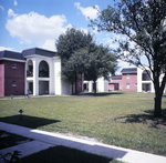 Dauphine Apartments Courtyard, Tampa, Florida, A by George Skip Gandy IV