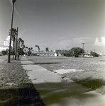 View of Open Lot with Mirasol Apartments on the Left, Tampa, Florida by George Skip Gandy IV