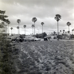 Field with Parked Vehicles and Center for Learning in Background, Tampa, Florida, A by George Skip Gandy IV