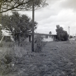 Rear View of Building with Overgrown Vegetation, Tampa, Florida, A by George Skip Gandy IV