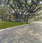 Exterior View of Residential Buildings at Brookgreen Apartments, Clearwater, Florida, B by George Skip Gandy IV