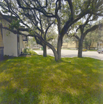 Exterior View of Residential Buildings at Brookgreen Apartments, Clearwater, Florida, C by George Skip Gandy IV