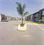 Parking Area with Palm Tree at Brookgreen Apartments, Clearwater, Florida by George Skip Gandy IV