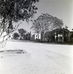 Dirt Road Adjacent to Del Lago Apartments Under Construction, Tampa, Florida, B by George Skip Gandy IV