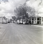 Tree-Lined Street with Parking at Del Lago Apartments, Tampa, Florida, B by George Skip Gandy IV