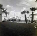 Clubhouse and Pool Area with Palm Trees at Del Lago Apartments, Tampa, Florida, B by George Skip Gandy IV