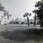 Clubhouse and Pool Area with Palm Trees at Del Lago Apartments, Tampa, Florida, C by George Skip Gandy IV