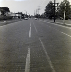 Brick Paved Street with Power Lines, Winter Park, Florida by George Skip Gandy IV