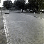 Curved Brick Road with Parked Car, Winter Park, Florida by George Skip Gandy IV