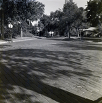 Brick-Paved Street Intersection, Winter Park, Florida by George Skip Gandy IV