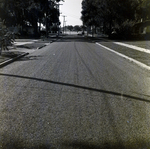 Residential Street with Sidewalks, Winter Park, Florida, A by George Skip Gandy IV