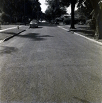 Residential Street with Sidewalks, Winter Park, Florida, B by George Skip Gandy IV