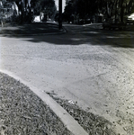 Residential Street Corner with Grass and Trees, Winter Park, Florida by George Skip Gandy IV