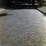 Brick Paved Road Surface, Winter Park, Florida, B by George Skip Gandy IV