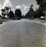 Brick Residential Street Intersection with Stop Sign, Winter Park, Florida by George Skip Gandy IV