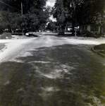 Unpaved Residential Street Intersection with Traffic Signs, Winter Park, Florida by George Skip Gandy IV