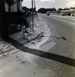 Roadside View near Church with Sandy Shoulder, Winter Park, Florida by George Skip Gandy IV